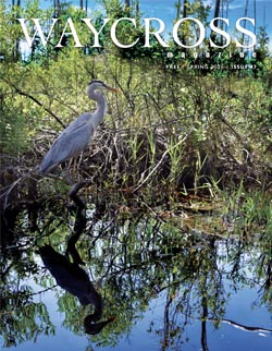 Waycross Magazine